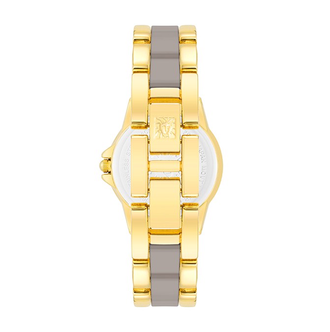 שעון נשים אנה קליין ANNE KLEIN AK/4118TPGB – לוח אם הפנינה אפור – תמונה 2
