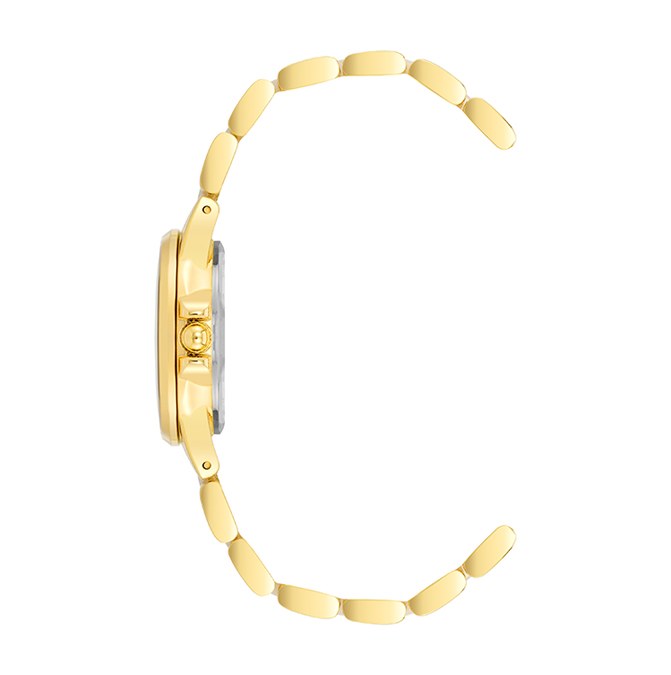 שעון נשים אנה קליין ANNE KLEIN AK/4118TPGB – לוח אם הפנינה אפור – תמונה 3