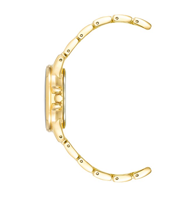 שעון נשים אנה קליין ANNE KLEIN AK/4132TEGB – לוח חום – תמונה 3