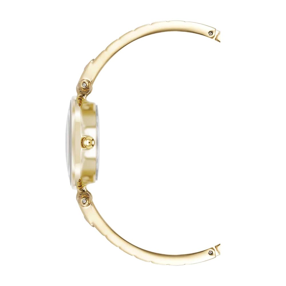 שעון נשים אנה קליין ANNE KLEIN AK/5390CHGB – לוח זהב – תמונה 2