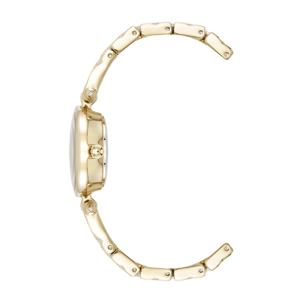 שעון נשים אנה קליין ANNE KLEIN AK/5422CHGB – לוח זהב – תמונה 2