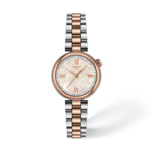 שעון נשים טיסו TISSOT Desir 28mm T152.010.22.118.00