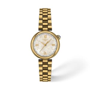 שעון נשים טיסו TISSOT Desir 28mm T152.010.33.118.00