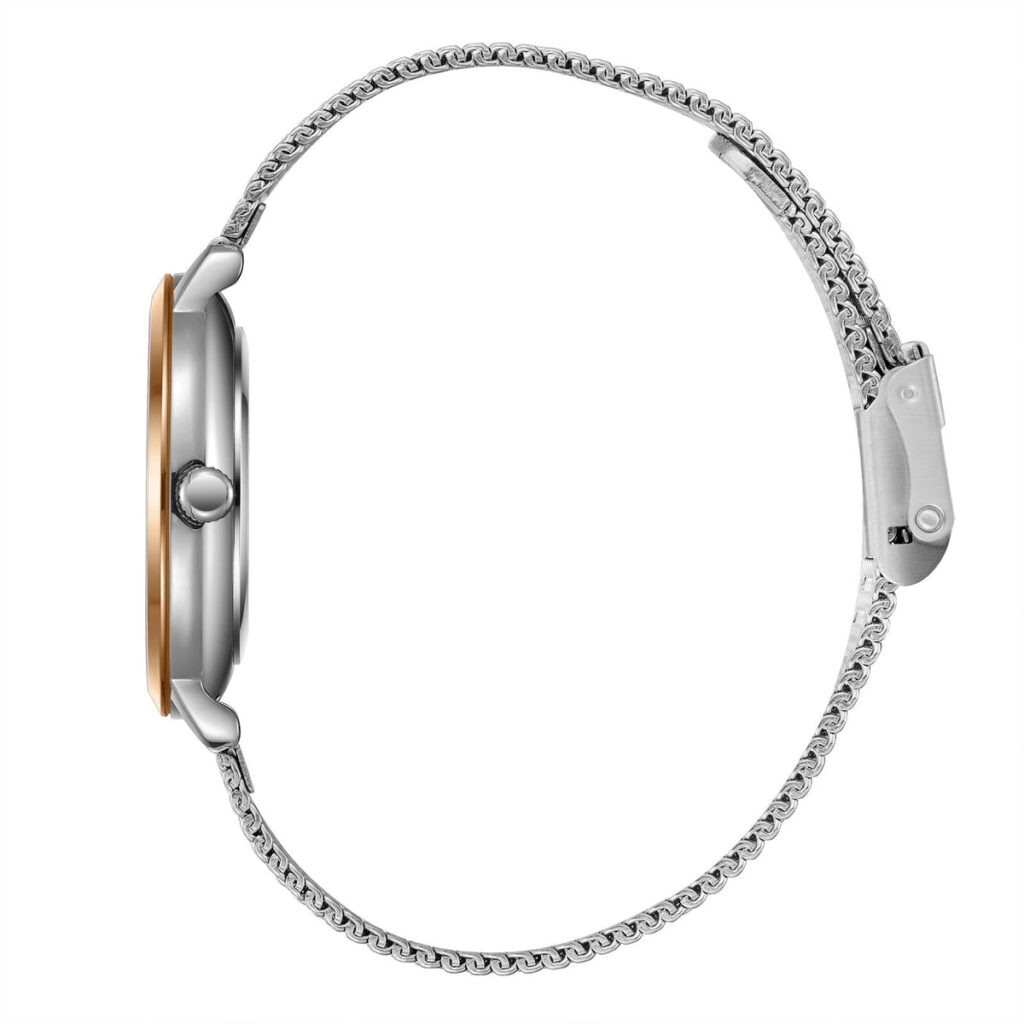 שעון שלזינגר Slazenger SL.09.2397.3.06 – תמונה 3
