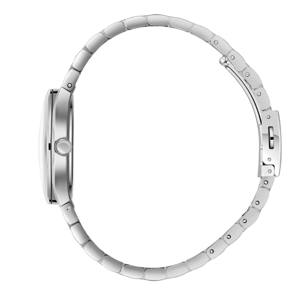 שעון שלזינגר Slazenger SL.09.2468.4.01 – תמונה 3