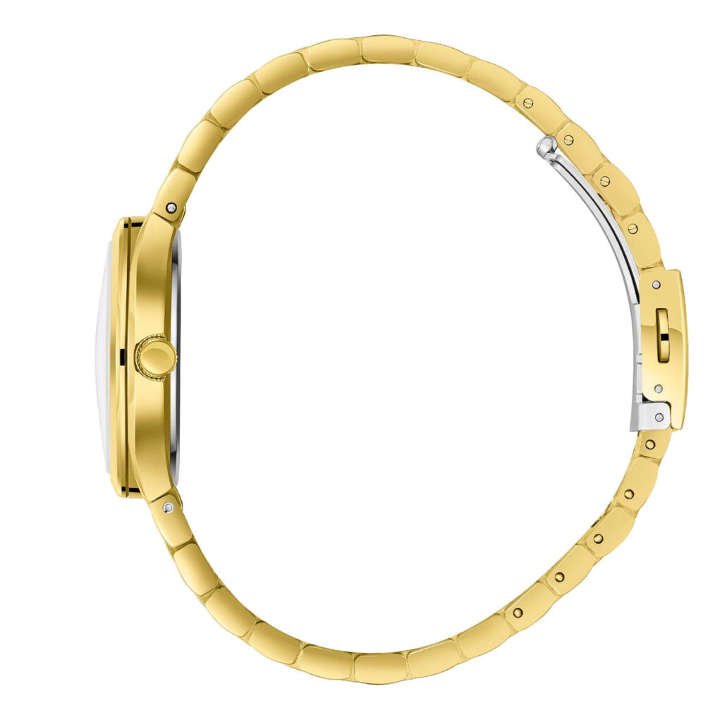 שעון שלזינגר Slazenger SL.09.2468.4.03 – תמונה 3