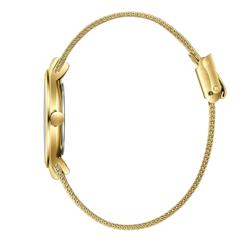 שעון שלזינגר Slazenger SL.09.2587.3.140 – תמונה 3